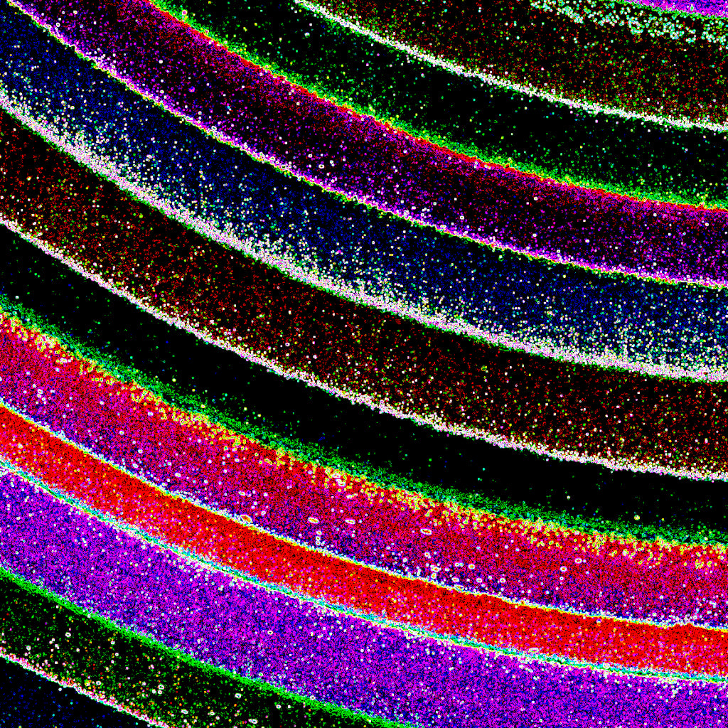 004/LLS_03