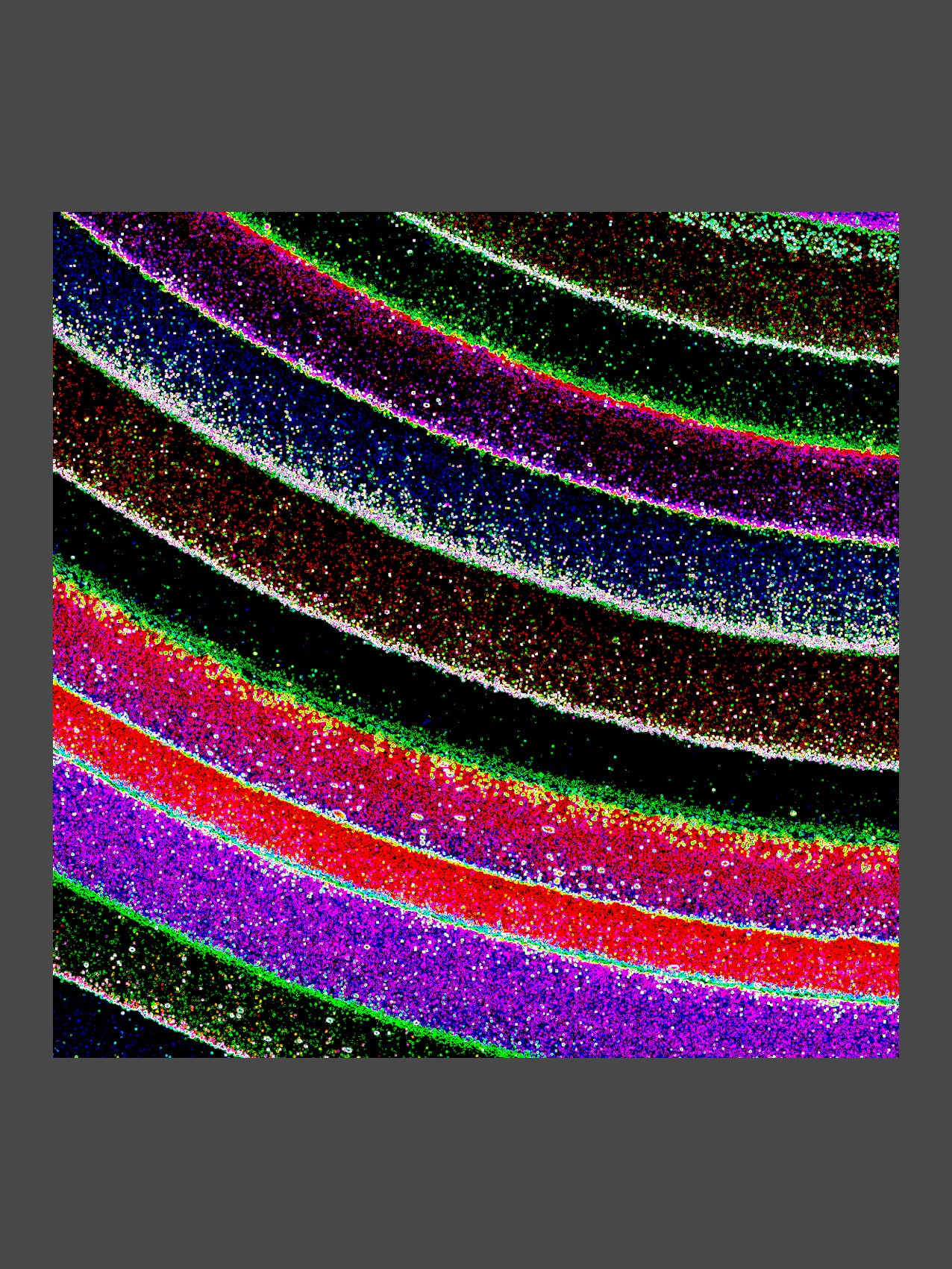 004/LLS_03