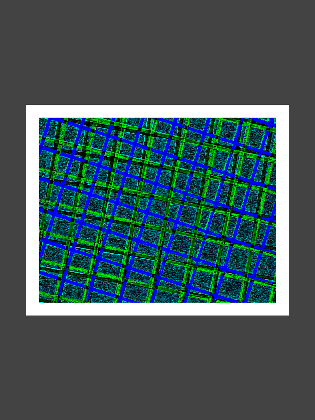 005/LLS_04