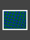 005/LLS_04