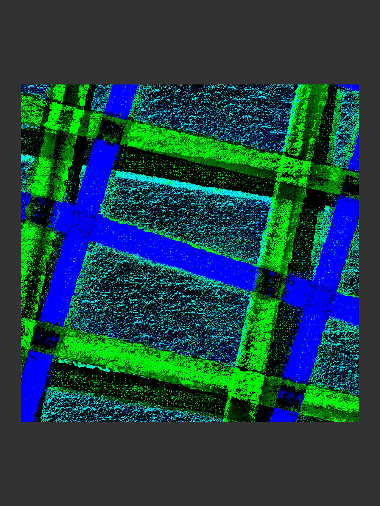 005/LLS_04