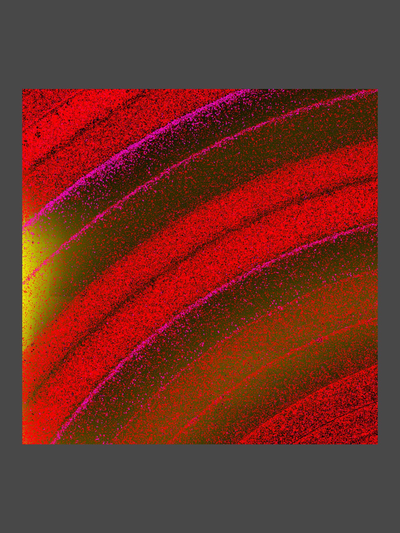 004/LPO_03
