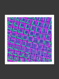 005/LSQ_04