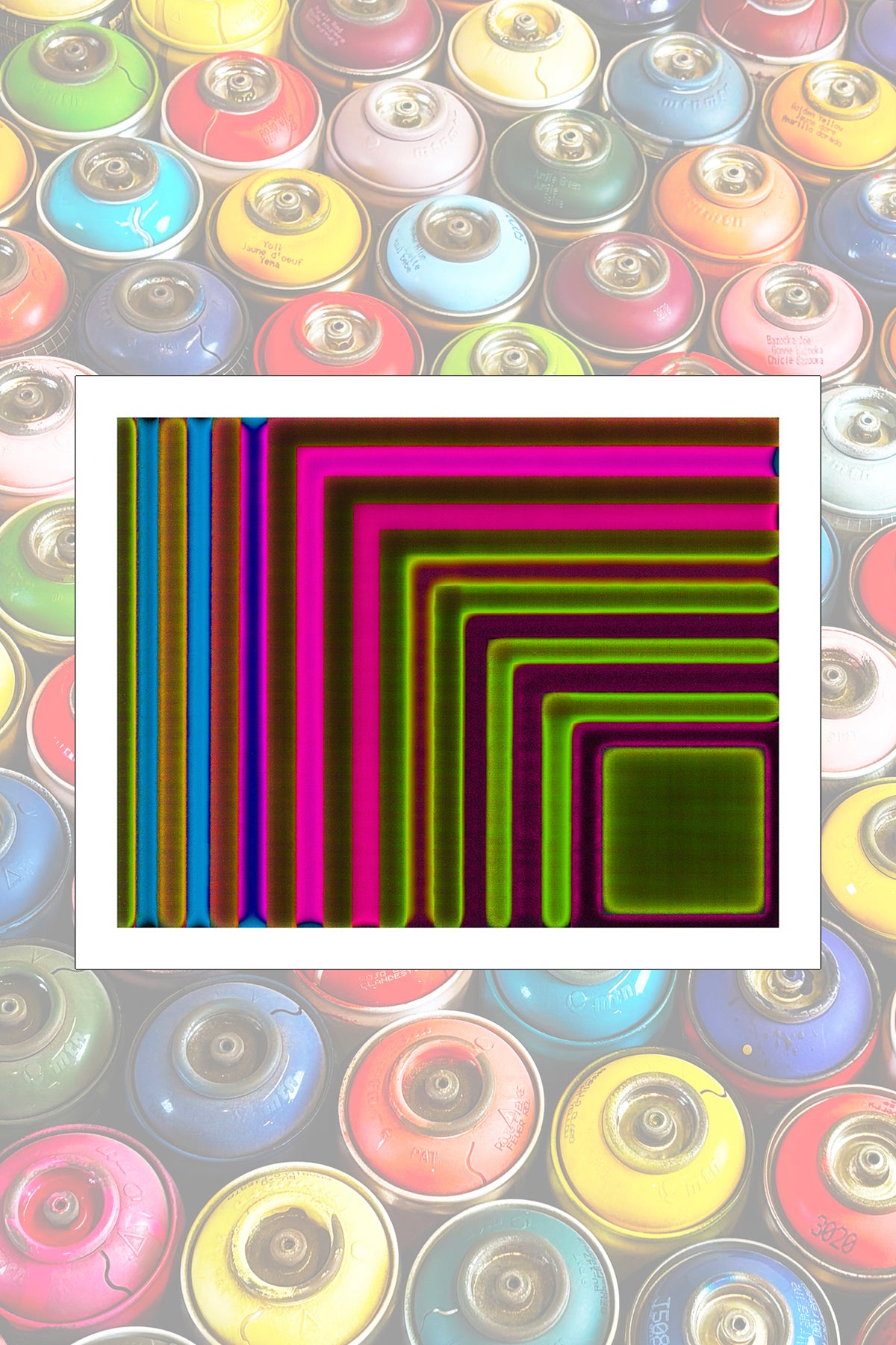 Alluring colourful Fine Art Print – Edition of 25
