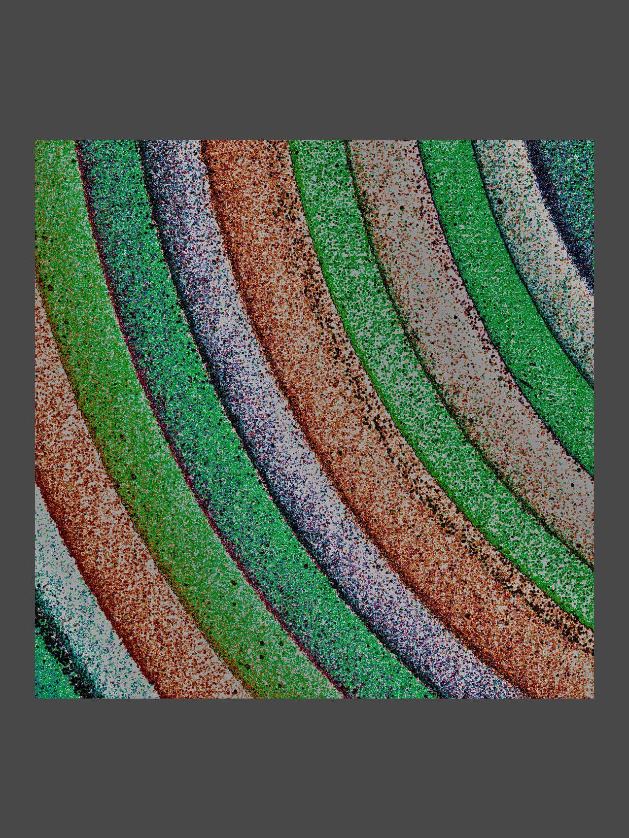 004/SPO_02