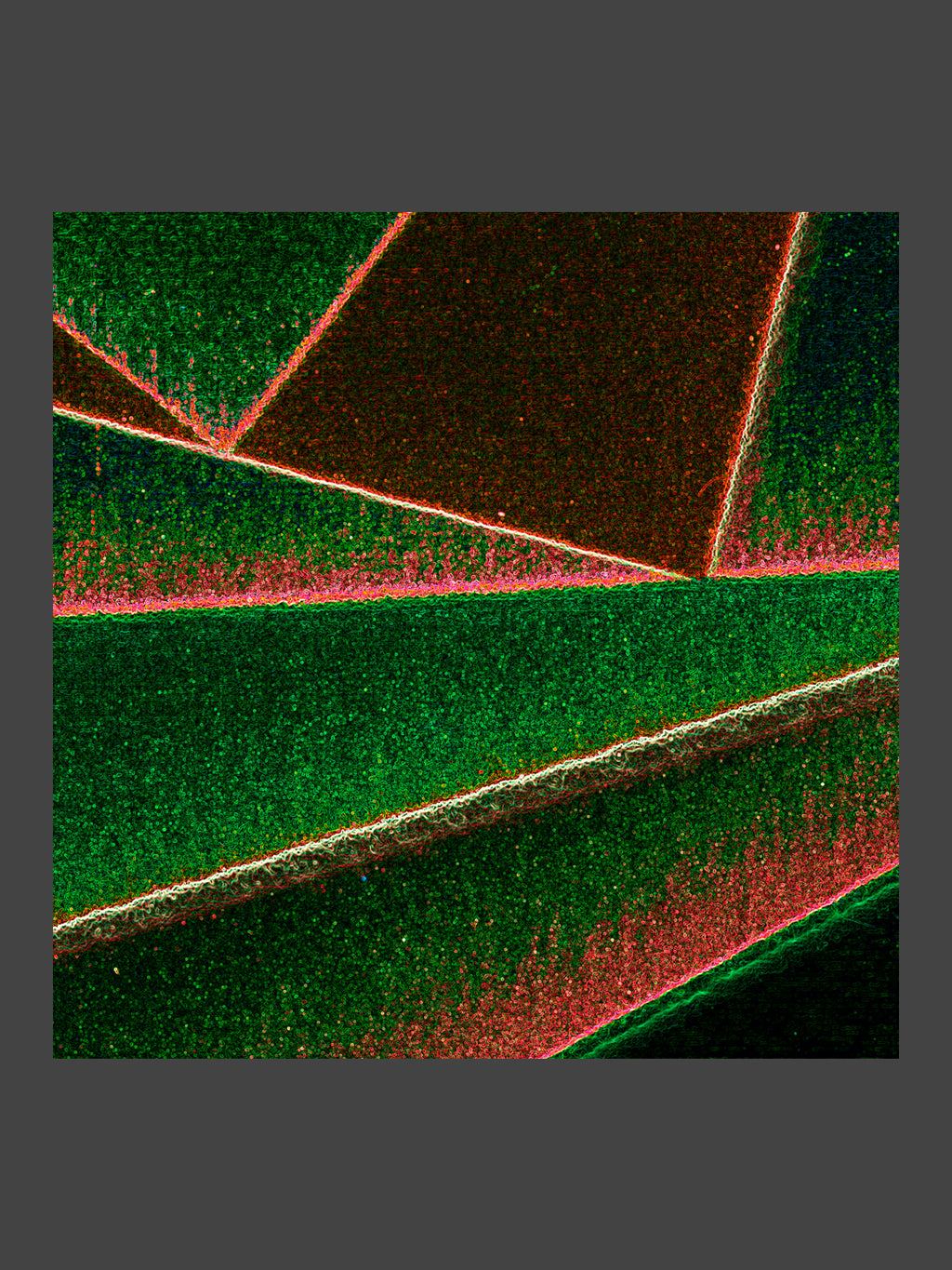 003/SPO_04