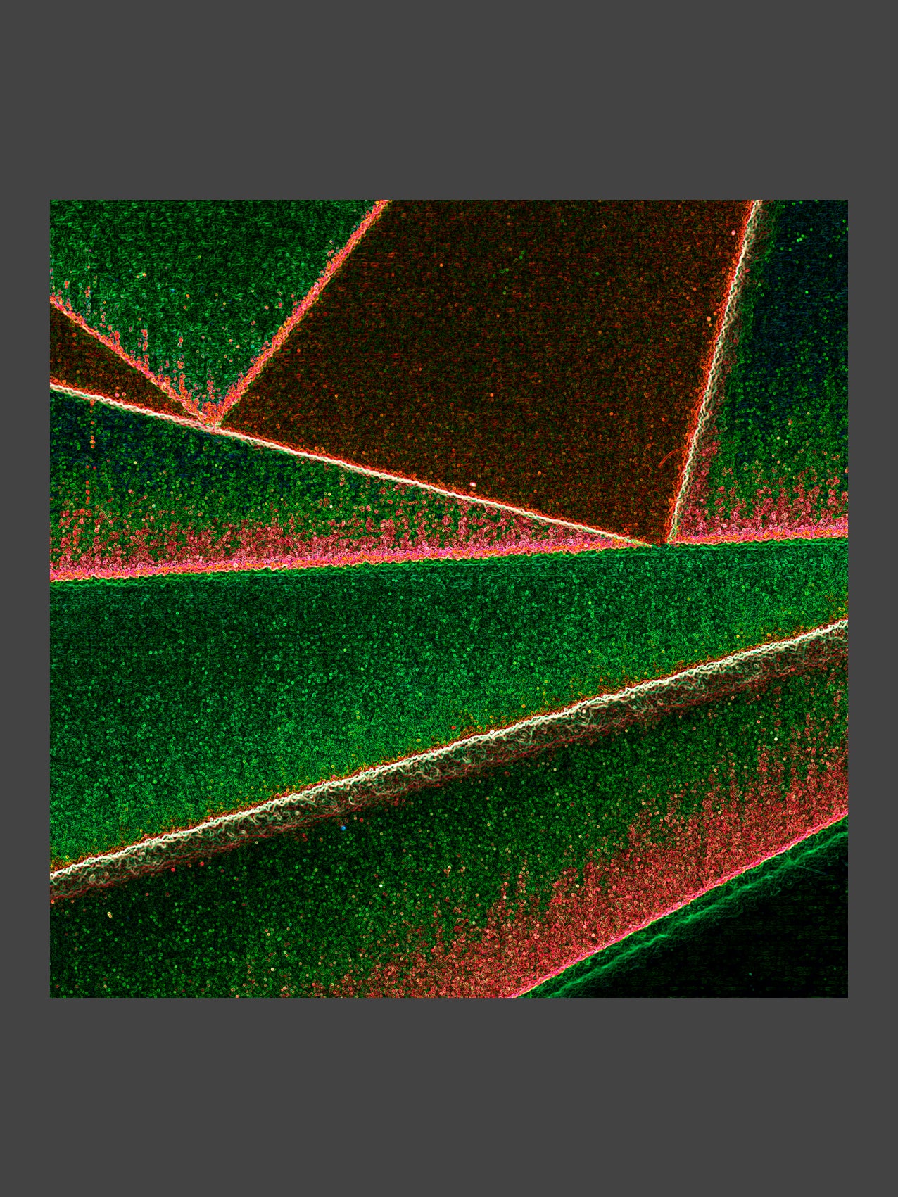 003/SPO_04
