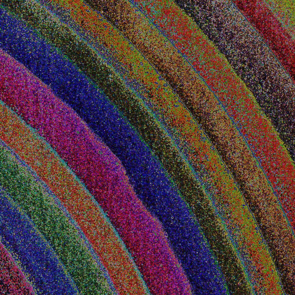 004/SSQ_02