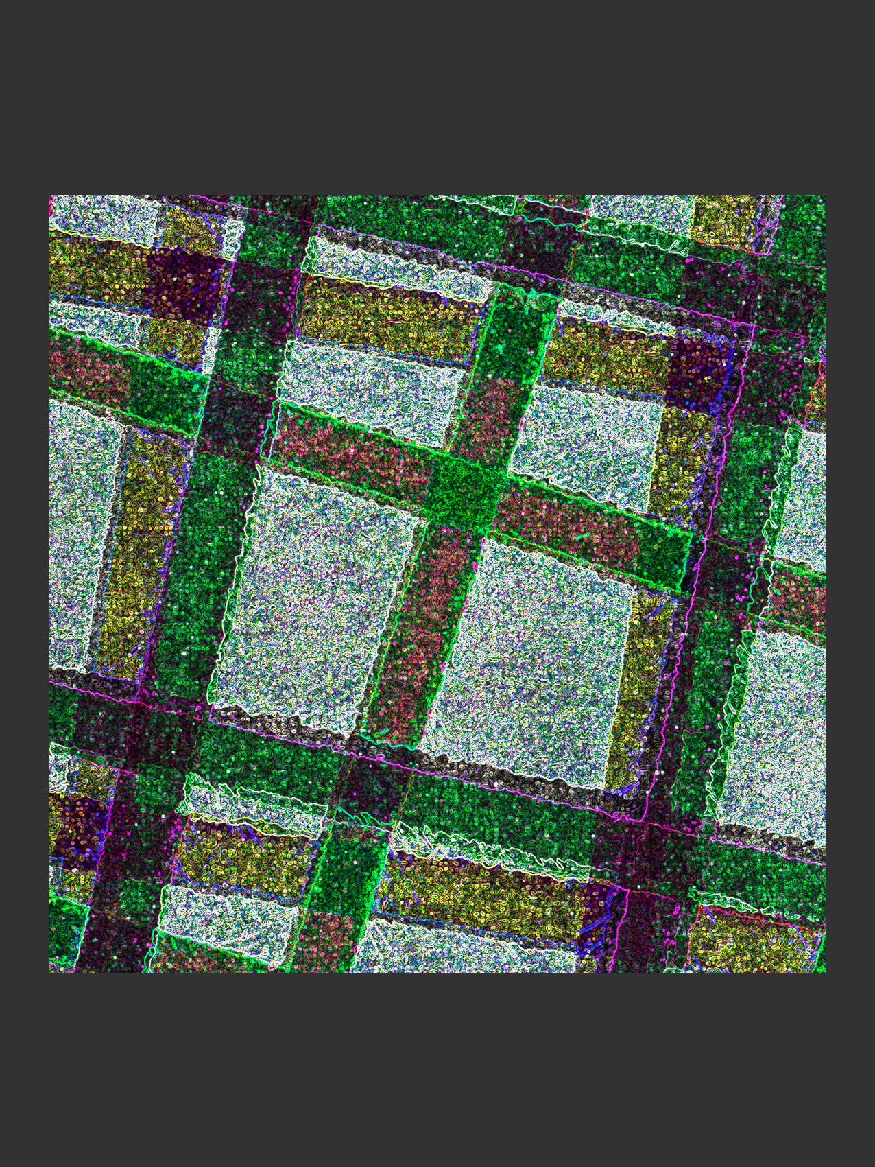 005/SSQ_02