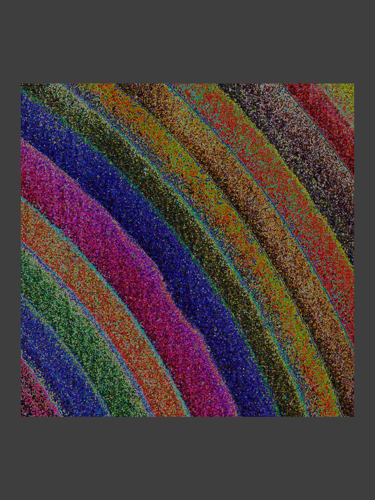 004/SSQ_02